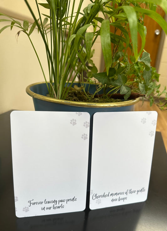 Paw/Nose Print Impression Cards  - set of 100