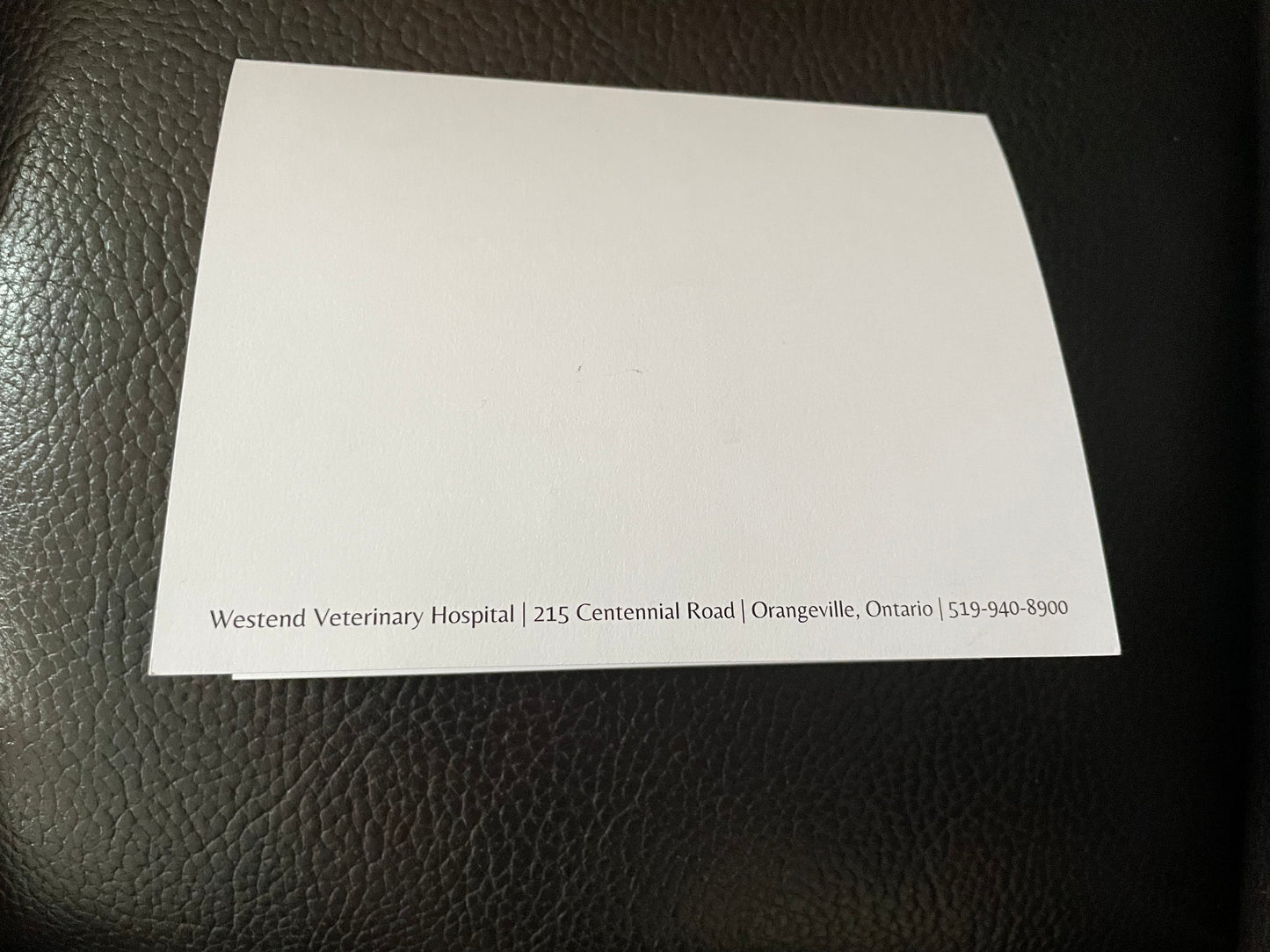 Folded Pet Sympathy Cards